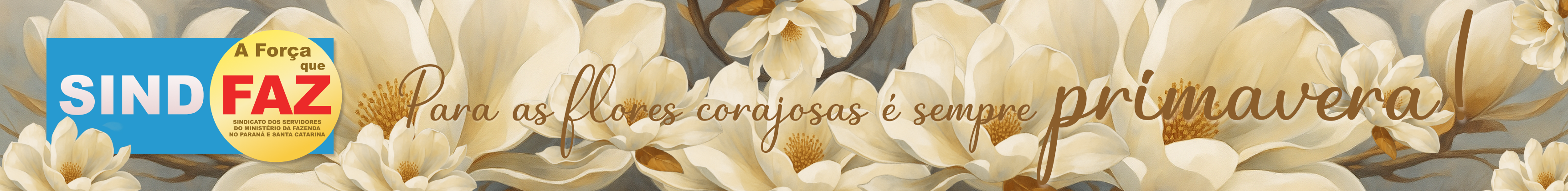 Banner Promocional